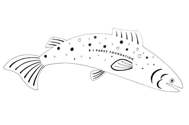 donor-sign-salmon