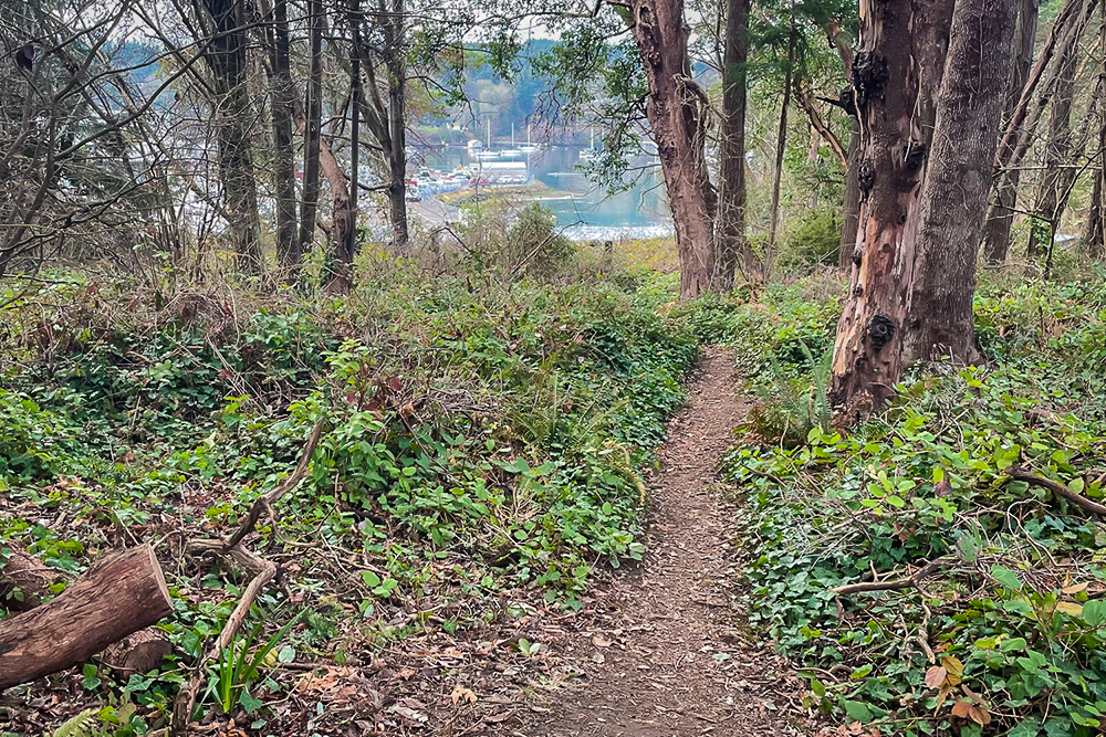 waypoint-trail-01